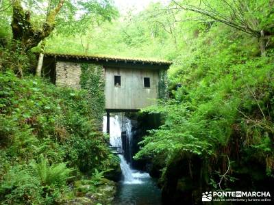 Valle del Baztán - Elizondo - Zugarramurdi; atención exclusiva al cliente; grupos pequeños; gente